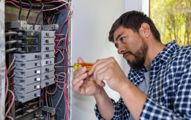 Best Local Electrician Companies  in Millville, DE